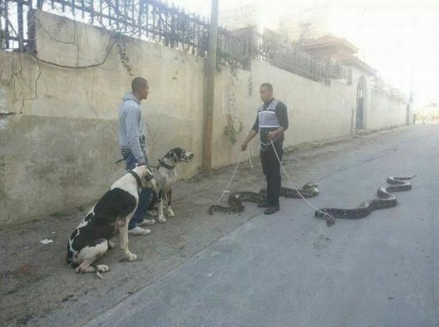 Bildschirmarbeiter - Picdump 28.02.2014