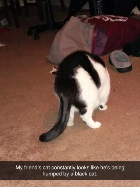 Bildschirmarbeiter - Picdump 28.02.2014