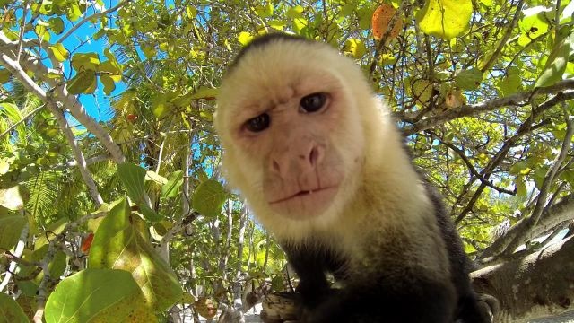 Bildschirmarbeiter - Picdump 07.03.2014