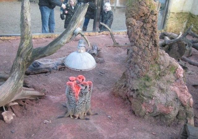 Bildschirmarbeiter - Picdump 07.03.2014