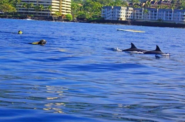 Bildschirmarbeiter - Picdump 07.03.2014