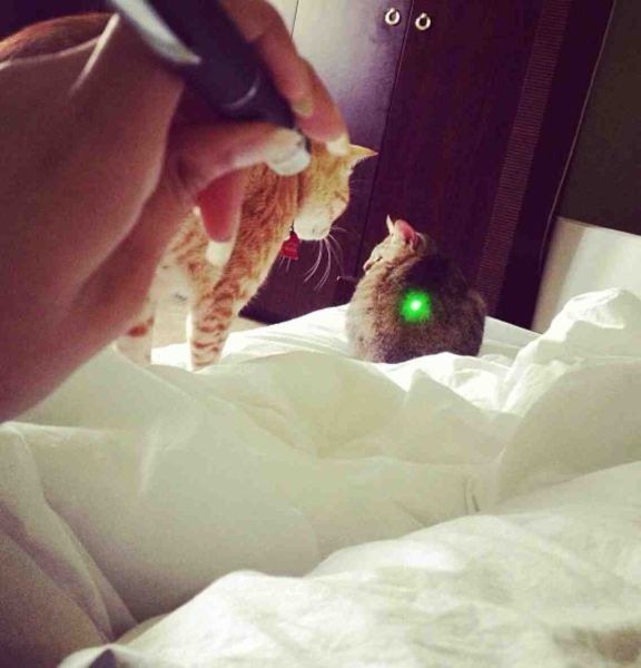 Bildschirmarbeiter - Picdump 07.03.2014