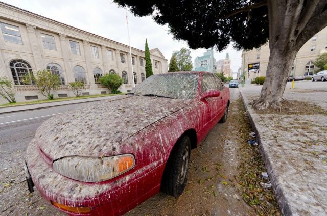 Bildschirmarbeiter - Picdump 07.03.2014