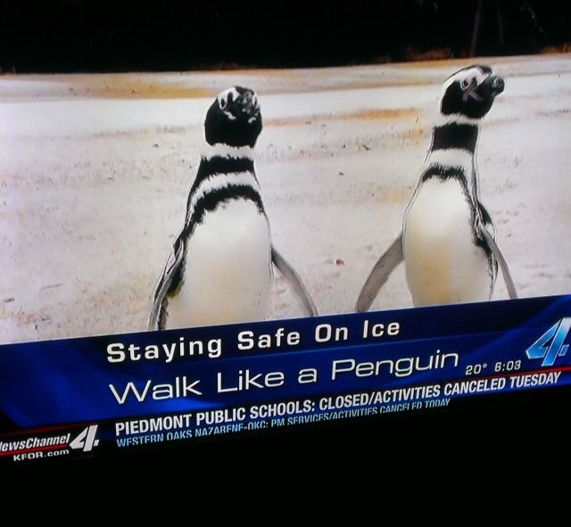 Bildschirmarbeiter - Picdump 07.03.2014