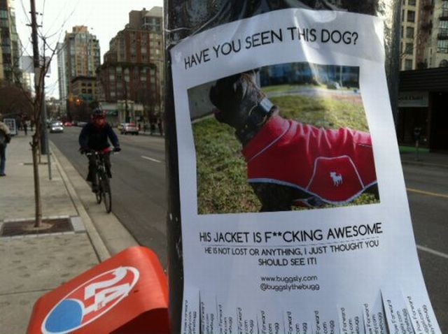 Bildschirmarbeiter - Picdump 07.03.2014