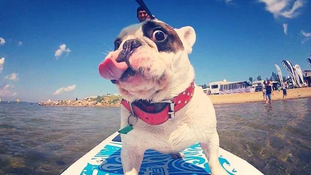 Bildschirmarbeiter - Picdump 07.03.2014