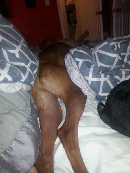 Bildschirmarbeiter - Picdump 07.03.2014