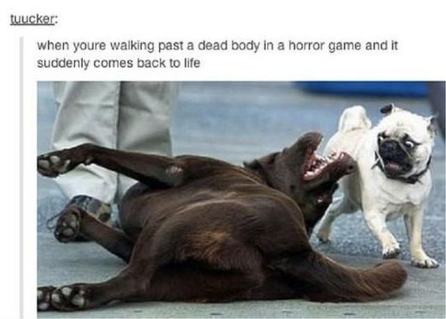 Bildschirmarbeiter - Picdump 07.03.2014