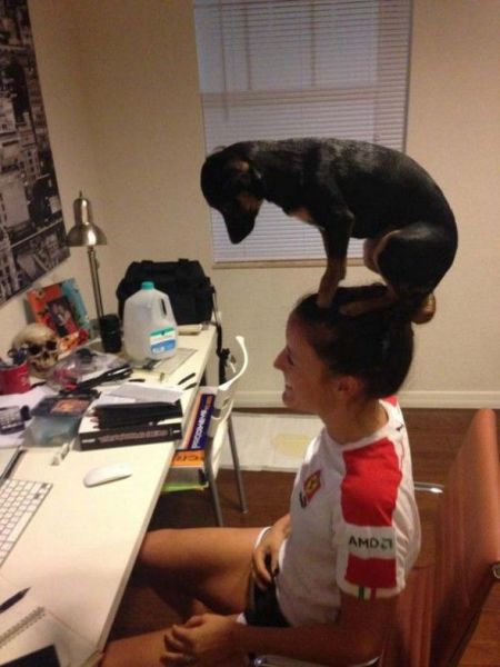 Bildschirmarbeiter - Picdump 14.03.2014