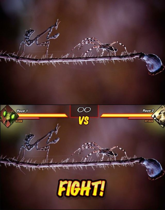 Bildschirmarbeiter - Picdump 14.03.2014