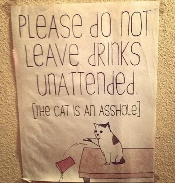 Bildschirmarbeiter - Picdump 14.03.2014