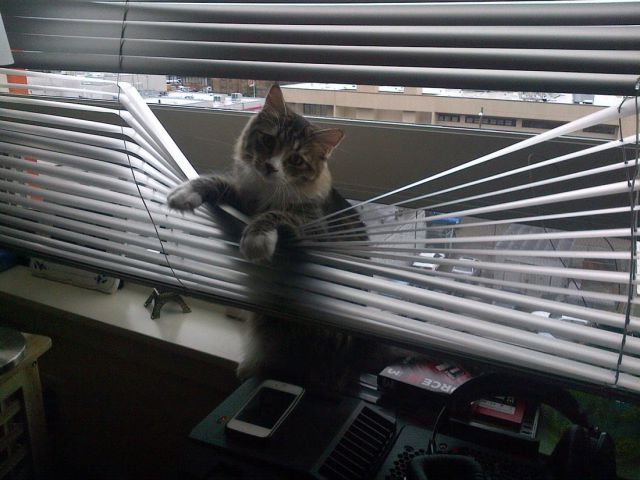 Bildschirmarbeiter - Picdump 14.03.2014