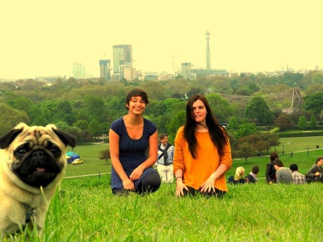 Bildschirmarbeiter - Picdump 21.03.2014