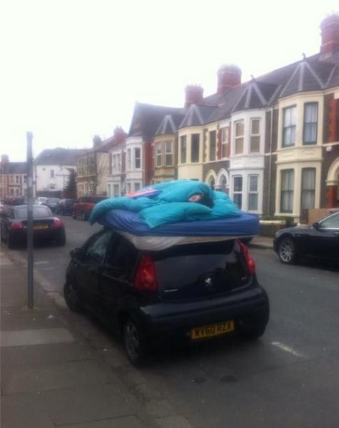 Bildschirmarbeiter - Picdump 21.03.2014