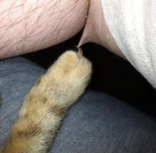 Bildschirmarbeiter - Picdump 21.03.2014