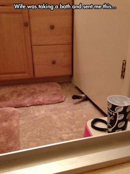 Bildschirmarbeiter - Picdump 21.03.2014