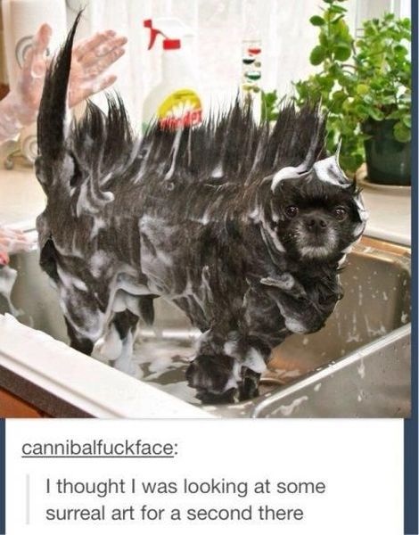 Bildschirmarbeiter - Picdump 21.03.2014