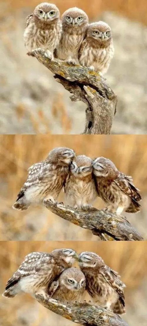 Bildschirmarbeiter - Picdump 21.03.2014