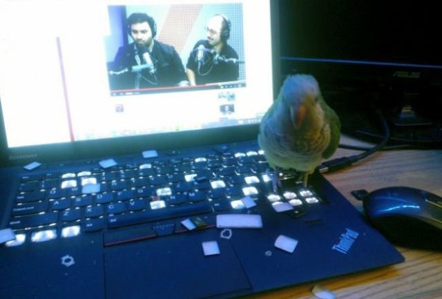 Bildschirmarbeiter - Picdump 21.03.2014