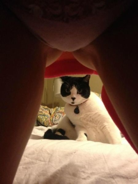 Bildschirmarbeiter - Picdump 21.03.2014