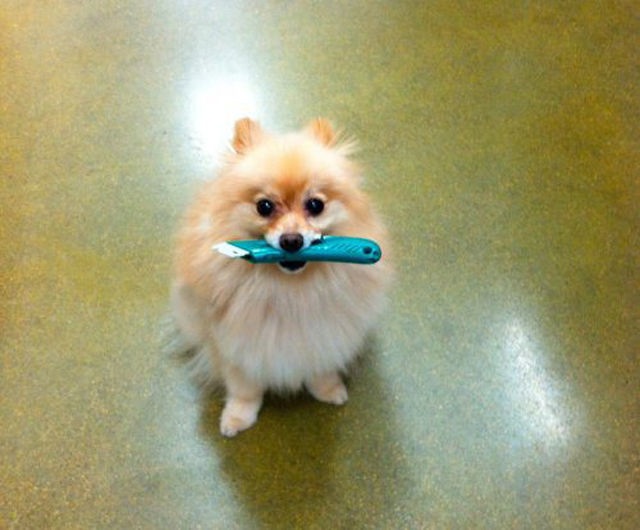 Bildschirmarbeiter - Picdump 21.03.2014