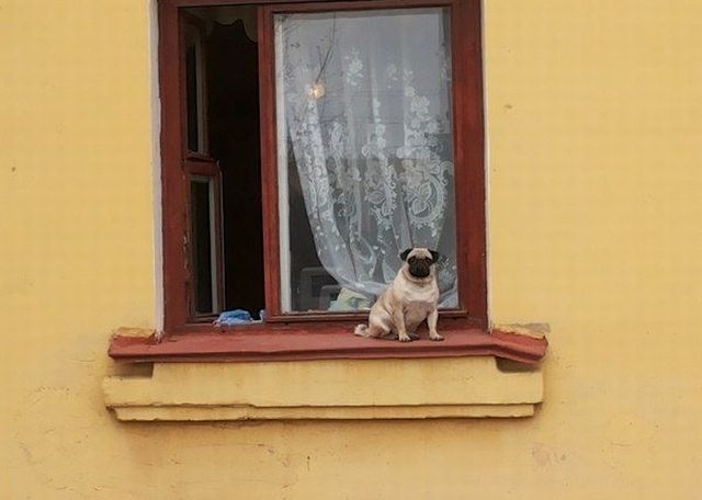 Bildschirmarbeiter - Picdump 21.03.2014