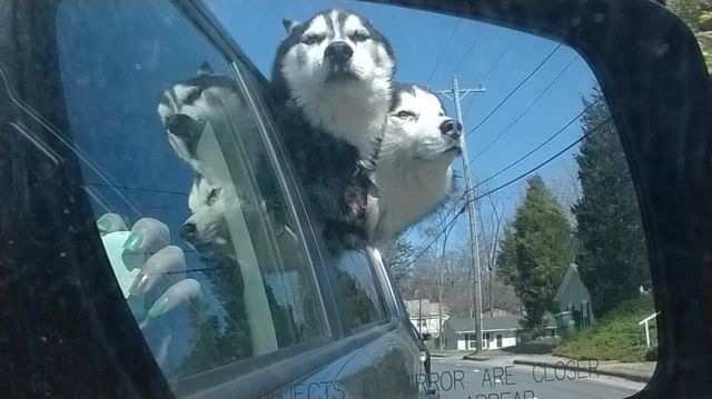 Bildschirmarbeiter - Picdump 04.04.2014