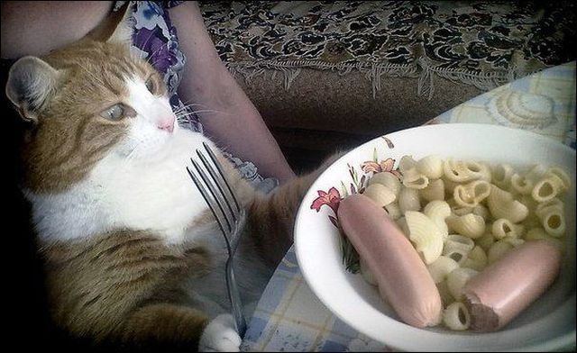 Bildschirmarbeiter - Picdump 04.04.2014