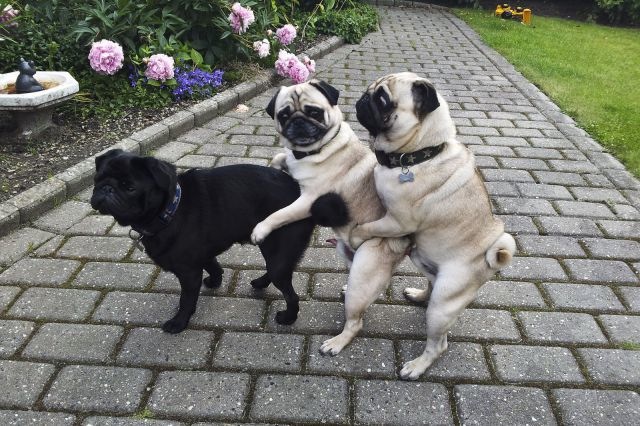 Bildschirmarbeiter - Picdump 04.04.2014