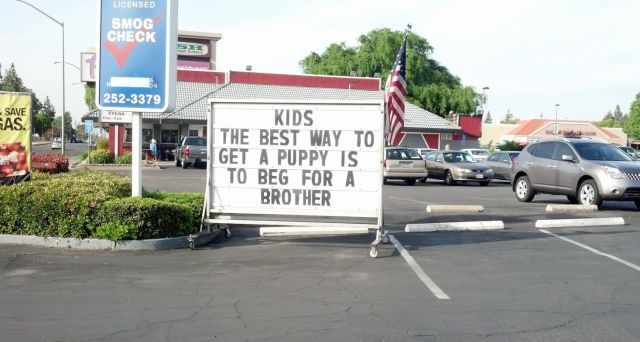 Bildschirmarbeiter - Picdump 04.04.2014