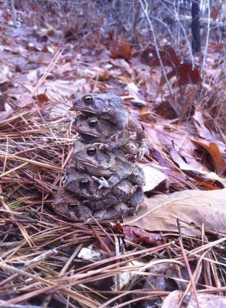 Bildschirmarbeiter - Picdump 04.04.2014