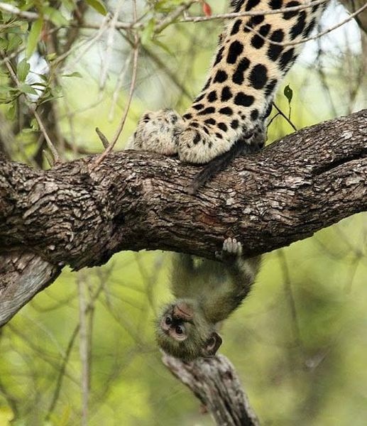 Bildschirmarbeiter - Picdump 04.04.2014