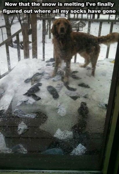 Bildschirmarbeiter - Picdump 04.04.2014