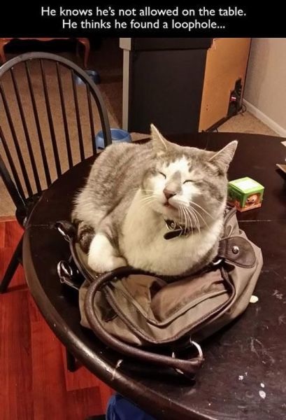 Bildschirmarbeiter - Picdump 04.04.2014