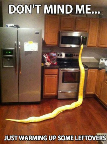 Bildschirmarbeiter - Picdump 04.04.2014