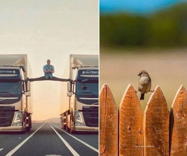 Bildschirmarbeiter - Picdump 04.04.2014