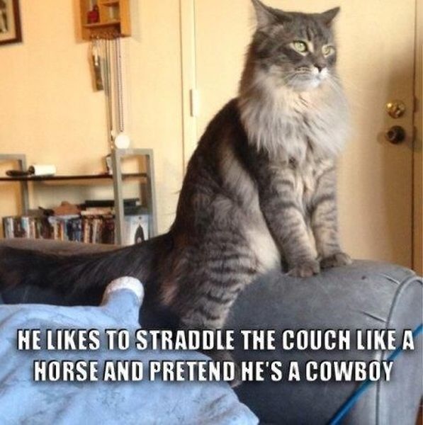 Bildschirmarbeiter - Picdump 04.04.2014