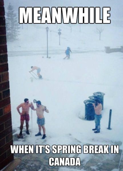 Bildschirmarbeiter - Picdump 04.04.2014