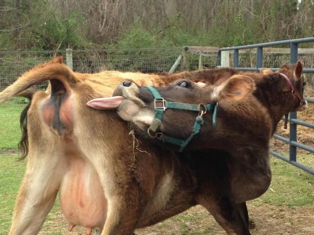 Bildschirmarbeiter - Picdump 04.04.2014