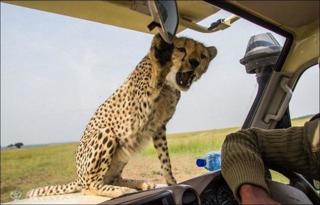 Bildschirmarbeiter - Picdump 04.04.2014