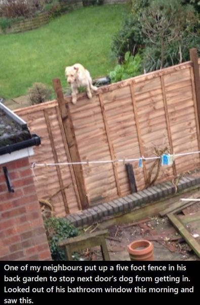 Bildschirmarbeiter - Picdump 04.04.2014