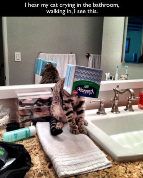 Bildschirmarbeiter - Picdump 04.04.2014