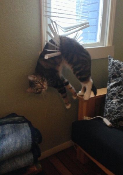 Bildschirmarbeiter - Picdump 11.04.2014