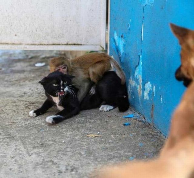 Bildschirmarbeiter - Picdump 11.04.2014