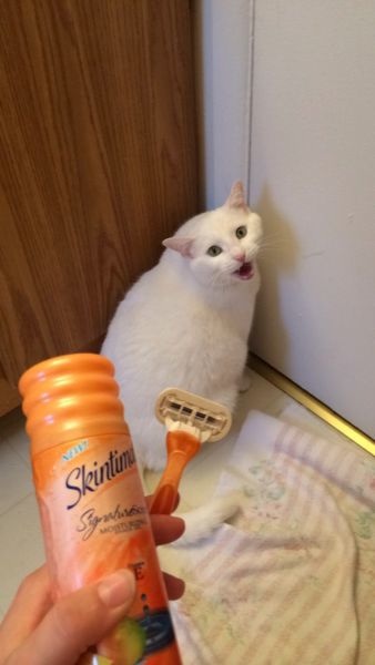 Bildschirmarbeiter - Picdump 11.04.2014