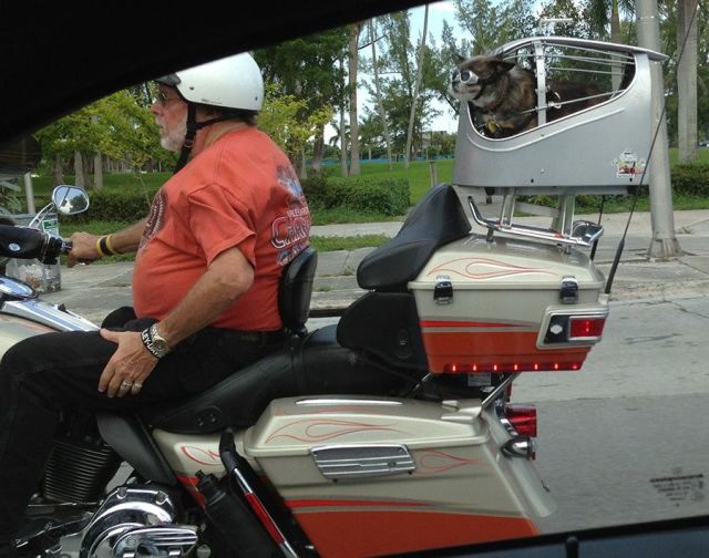 Bildschirmarbeiter - Picdump 11.04.2014