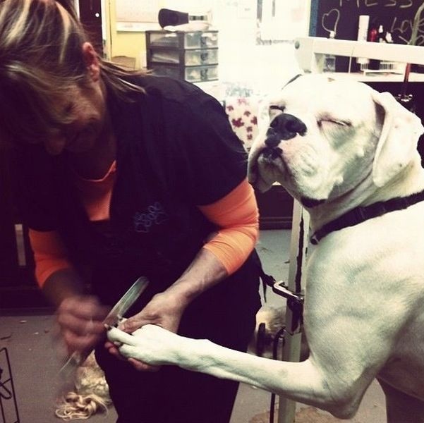 Bildschirmarbeiter - Picdump 11.04.2014