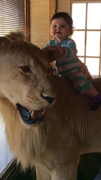 Bildschirmarbeiter - Picdump 11.04.2014