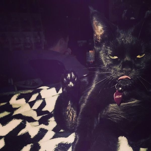 Bildschirmarbeiter - Picdump 11.04.2014