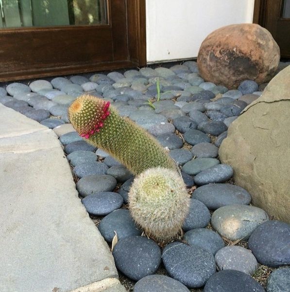 Bildschirmarbeiter - Picdump 11.04.2014